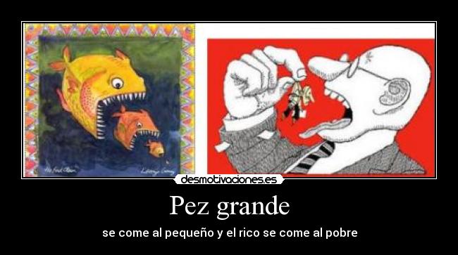 Pez grande - 