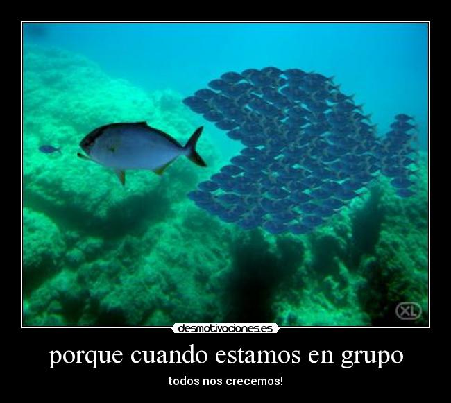porque cuando estamos en grupo - todos nos crecemos!