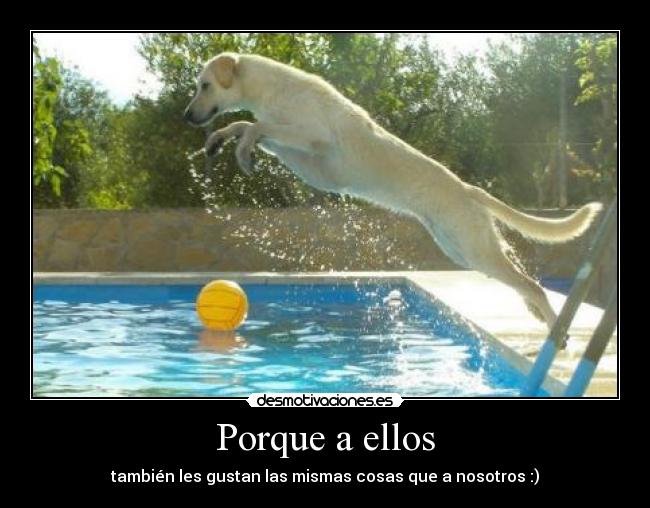 Porque a ellos - también les gustan las mismas cosas que a nosotros :)