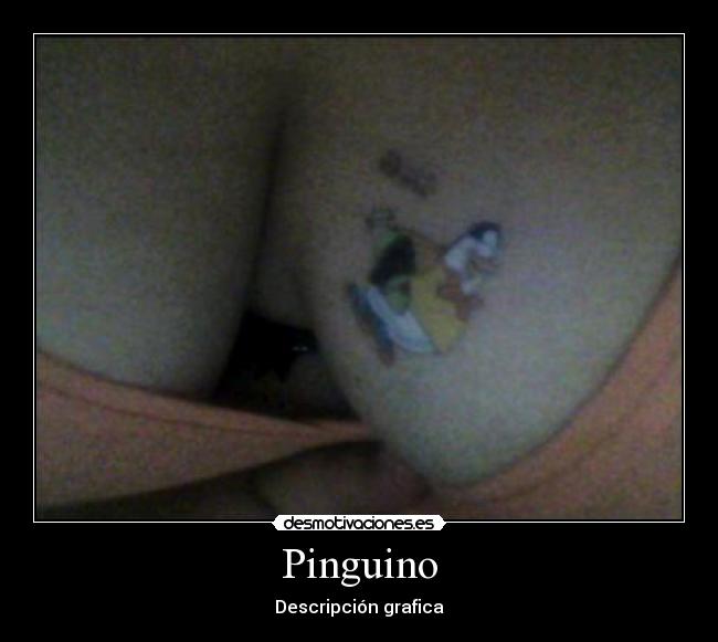 Pinguino - Descripción grafica