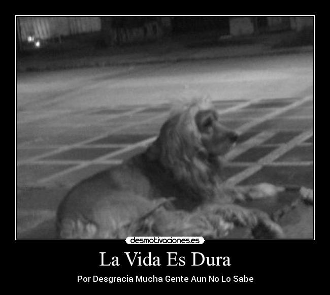 carteles vida vida desmotivaciones