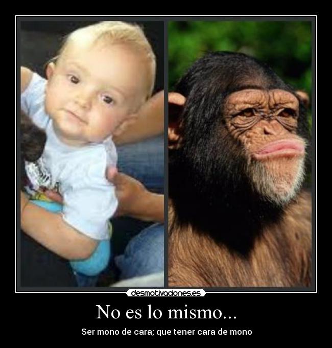 No es lo mismo... - Ser mono de cara; que tener cara de mono