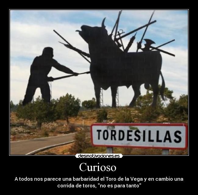 Curioso  - 