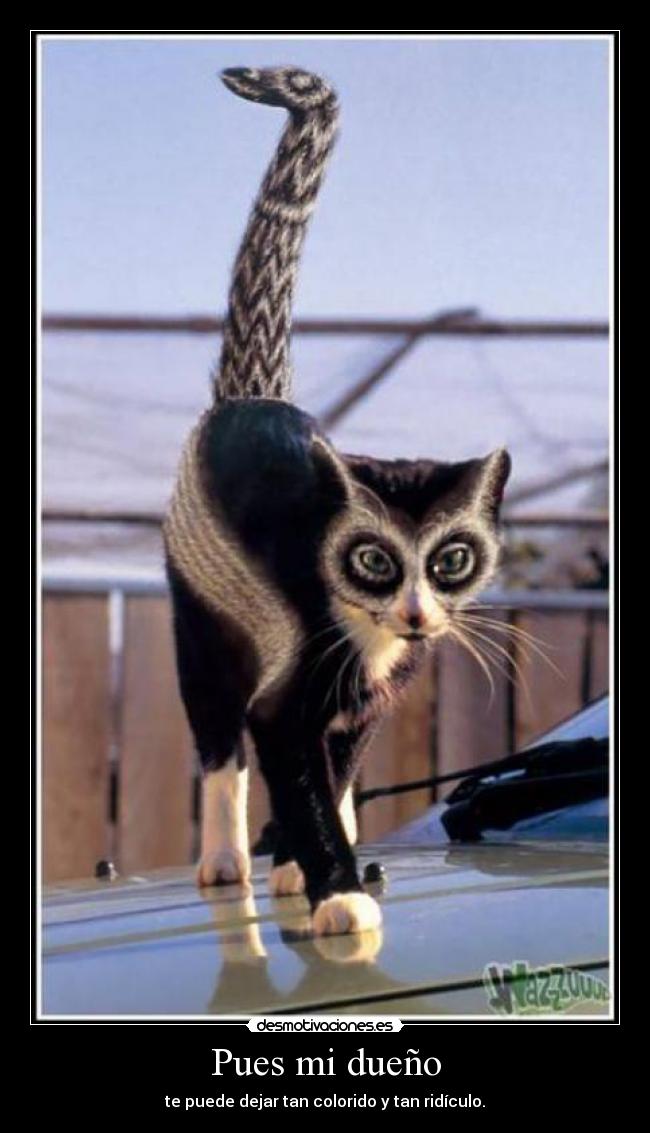 Pues mi dueño - te puede dejar tan colorido y tan ridículo.