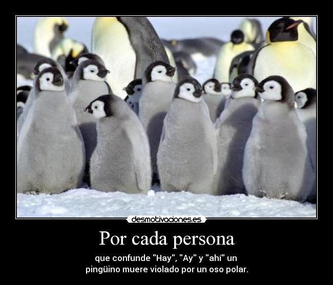 Por cada persona - que confunde Hay, Ay y ahí un
pingüino muere violado por un oso polar.