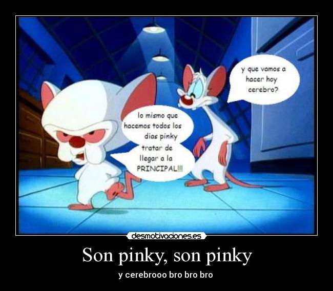 Son pinky, son pinky - y cerebrooo bro bro bro 