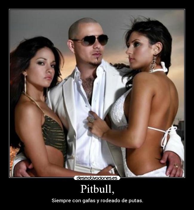 Pitbull, -