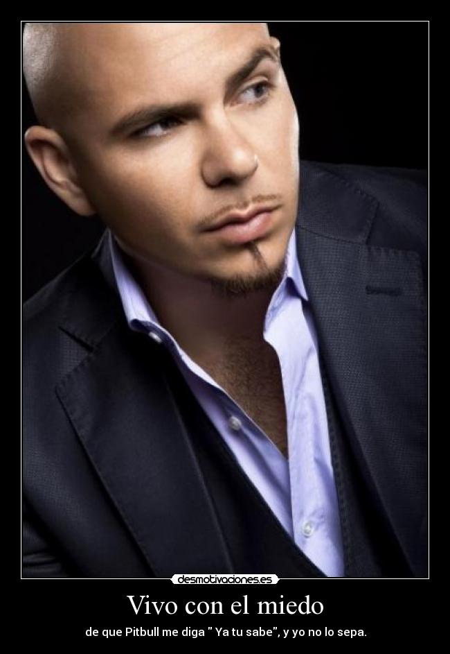 Vivo con el miedo - de que Pitbull me diga Ya tu sabe, y yo no lo sepa.