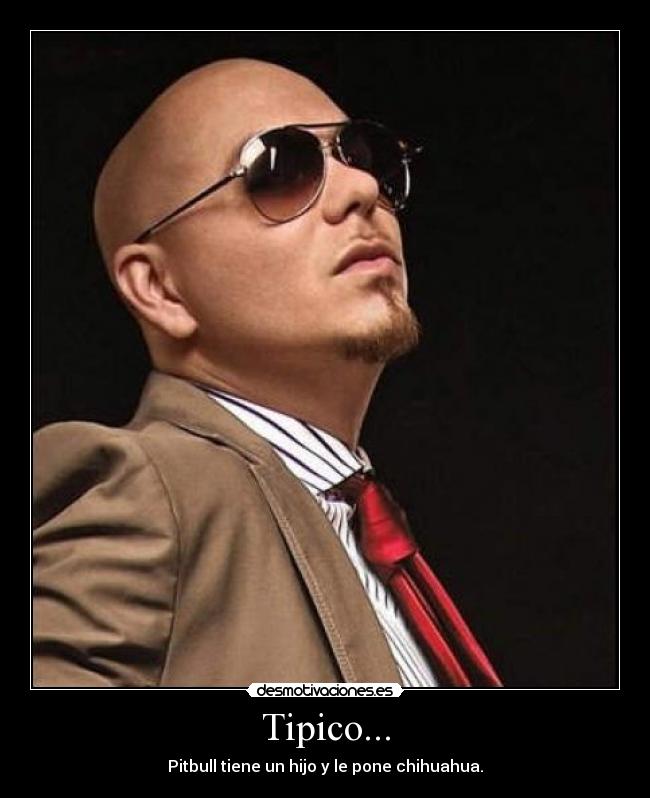 Tipico... - Pitbull tiene un hijo y le pone chihuahua.
