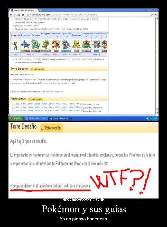Pokémon y sus guías - 