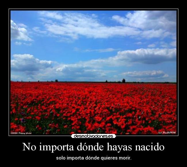 No importa dónde hayas nacido - solo importa dónde quieres morir.
