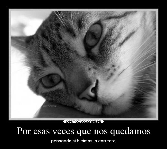 Por esas veces que nos quedamos -