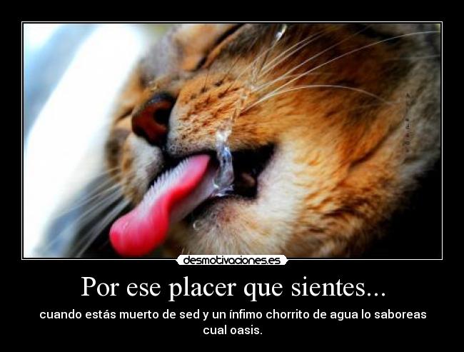 Por ese placer que sientes... - 