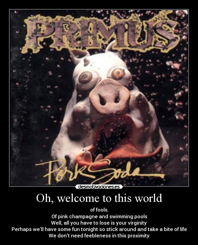 carteles primus desmotivaciones