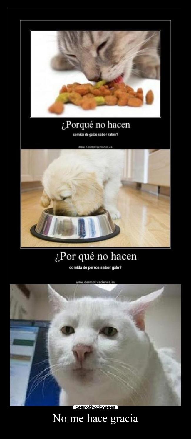 carteles carteles anteriores walt_k desmotivaciones jefe moderador comida perros gatos desmotivaciones