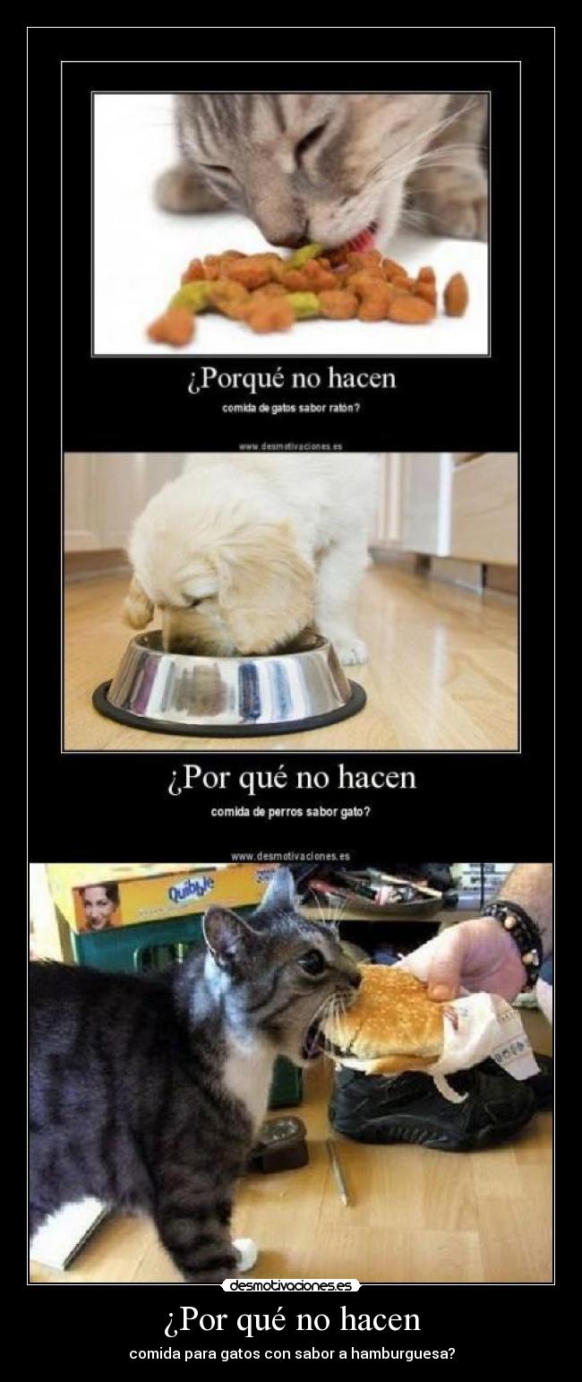 ¿Por qué no hacen - 