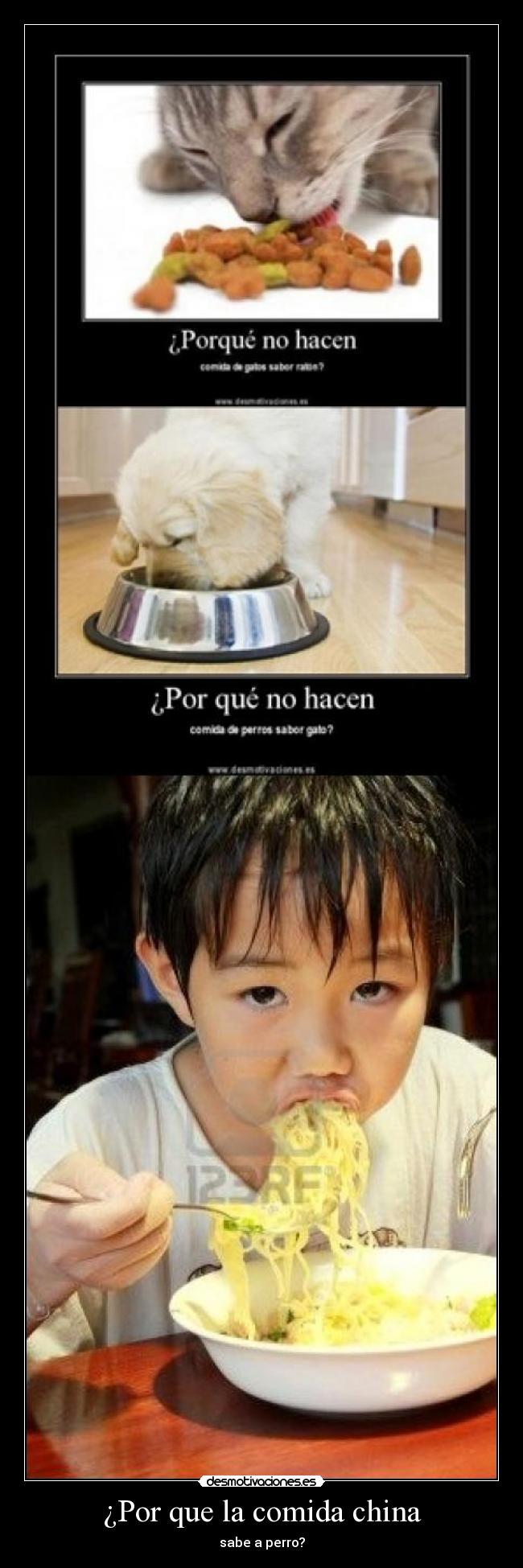 ¿Por que la comida china - sabe a perro?