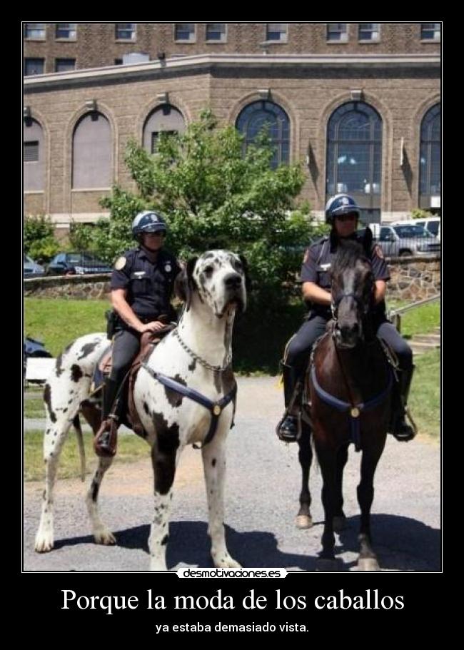 Porque la moda de los caballos -