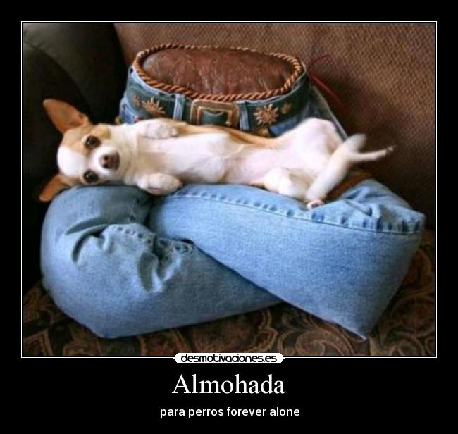 Almohada - para perros forever alone