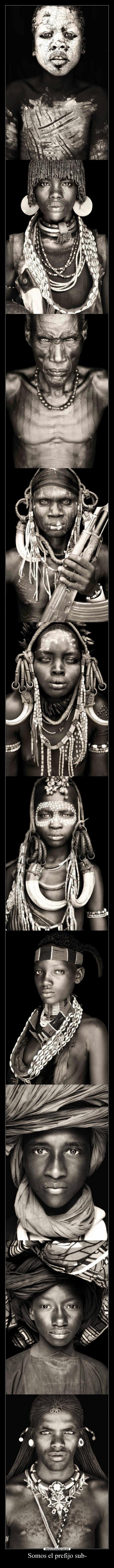 carteles katana desmotivaciones