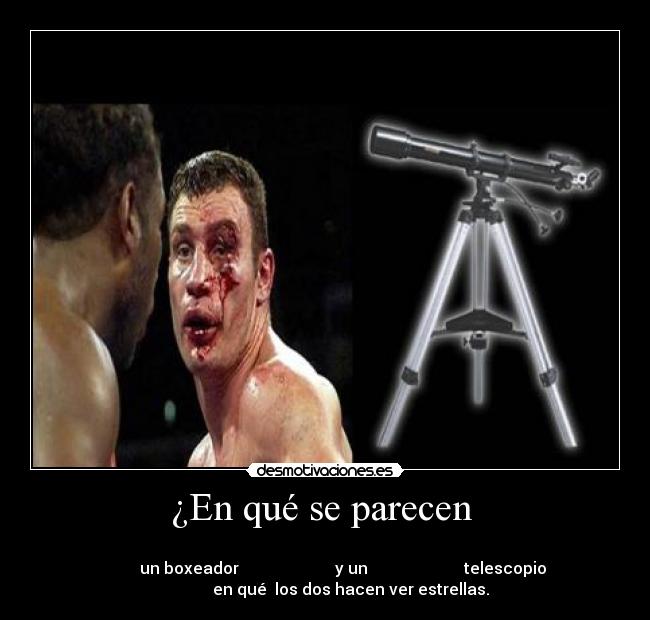 ¿En qué se parecen  - 