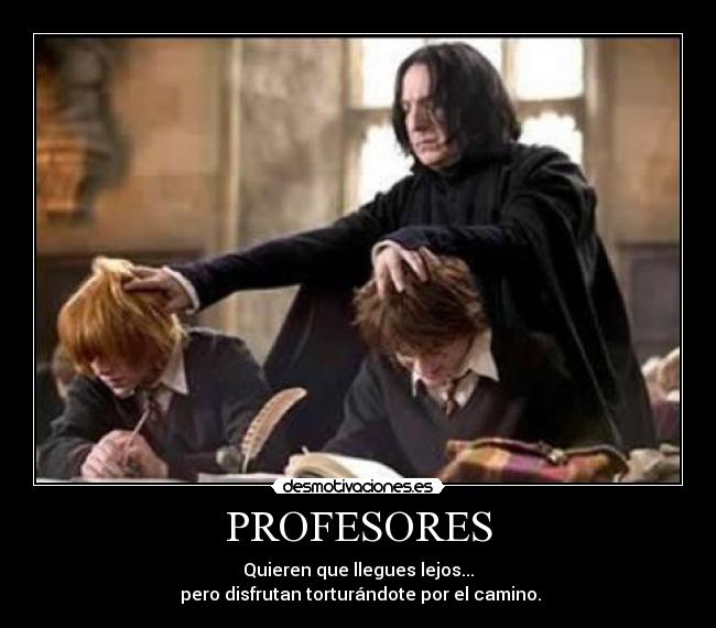 PROFESORES - 