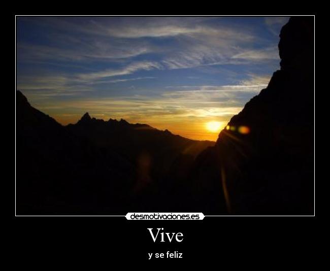 Vive - 
