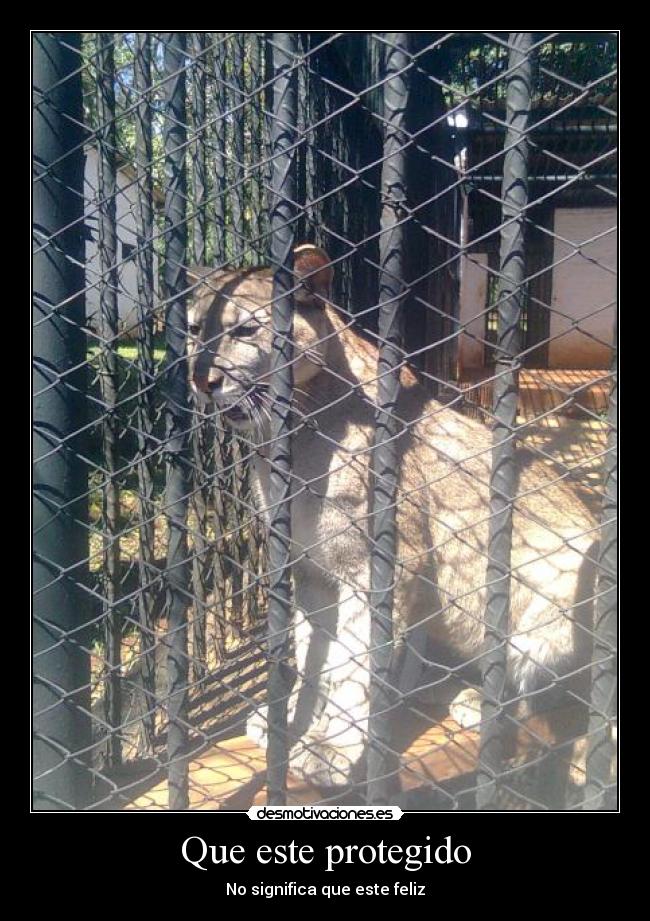 Que este protegido - No significa que este feliz