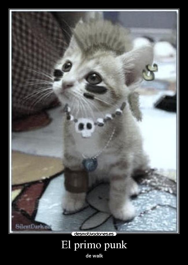El primo punk -