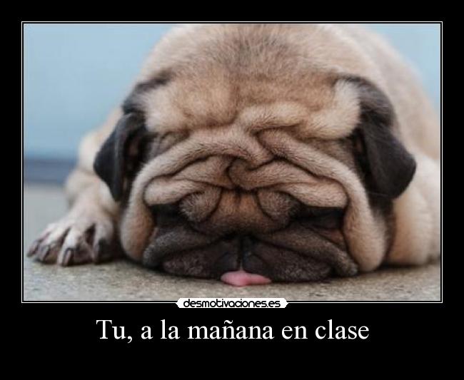 Tu, a la mañana en clase - 