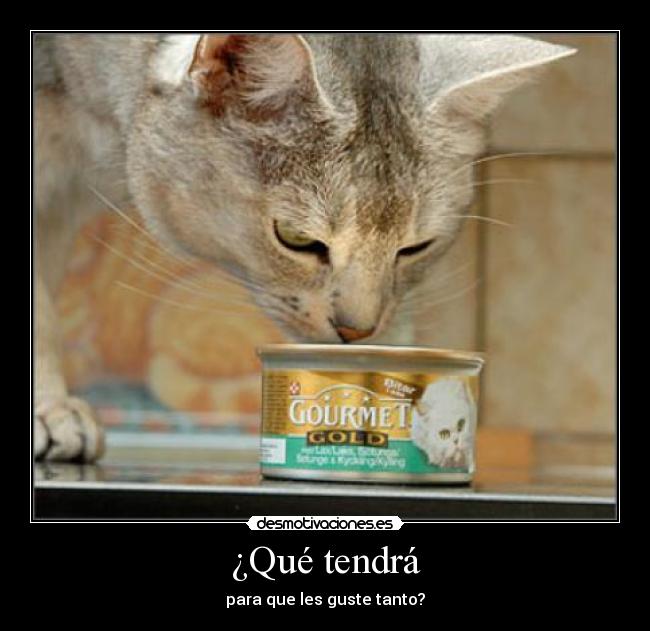 ¿Qué tendrá - para que les guste tanto?