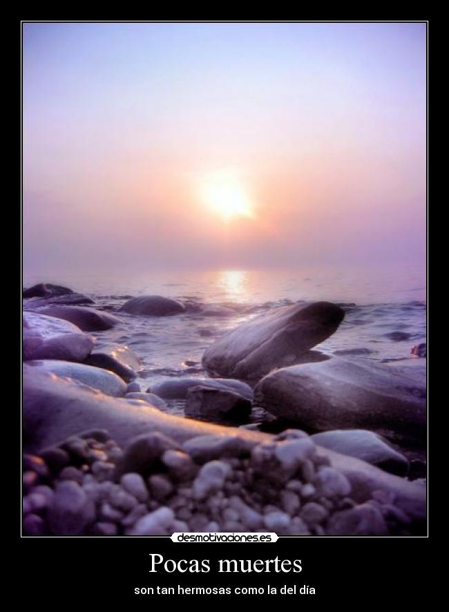 Pocas muertes - 
