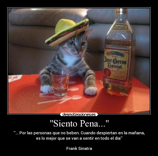 Siento Pena... - ... Por las personas que no beben. Cuando despiertan en la mañana,
es lo mejor que se van a sentir en todo el día
Frank Sinatra