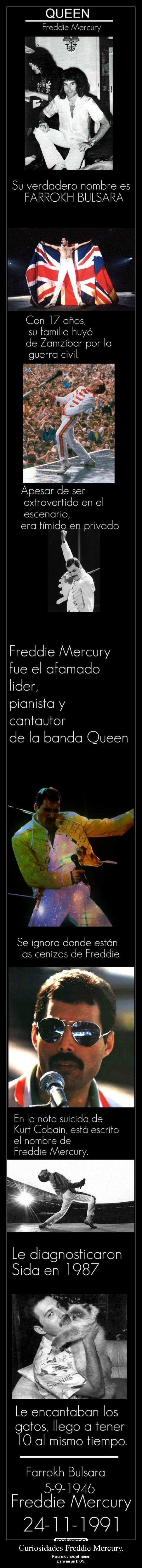 Curiosidades Freddie Mercury. - 