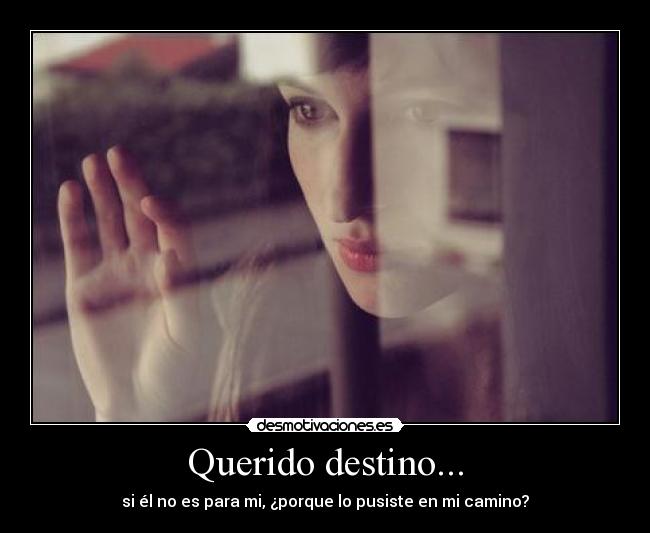 Querido destino... -