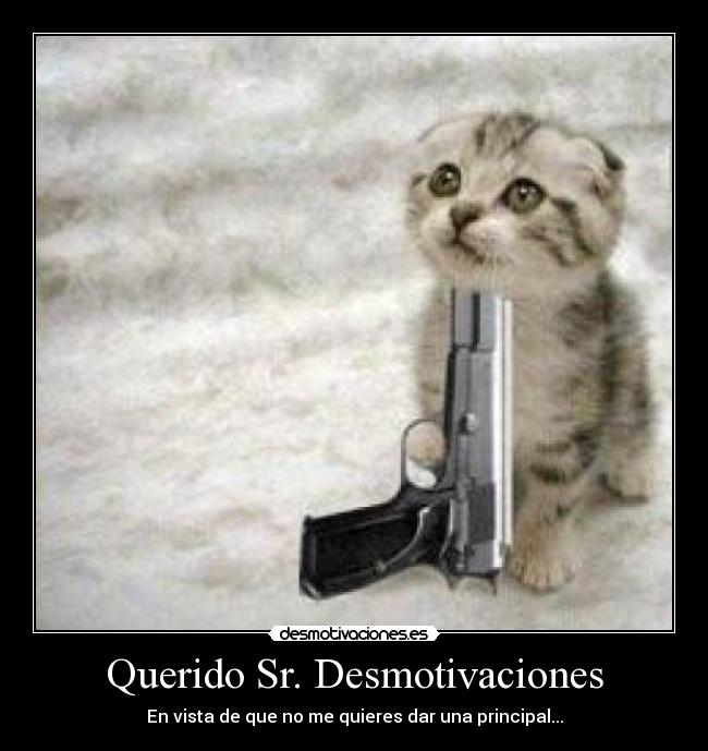 Querido Sr. Desmotivaciones - En vista de que no me quieres dar una principal...