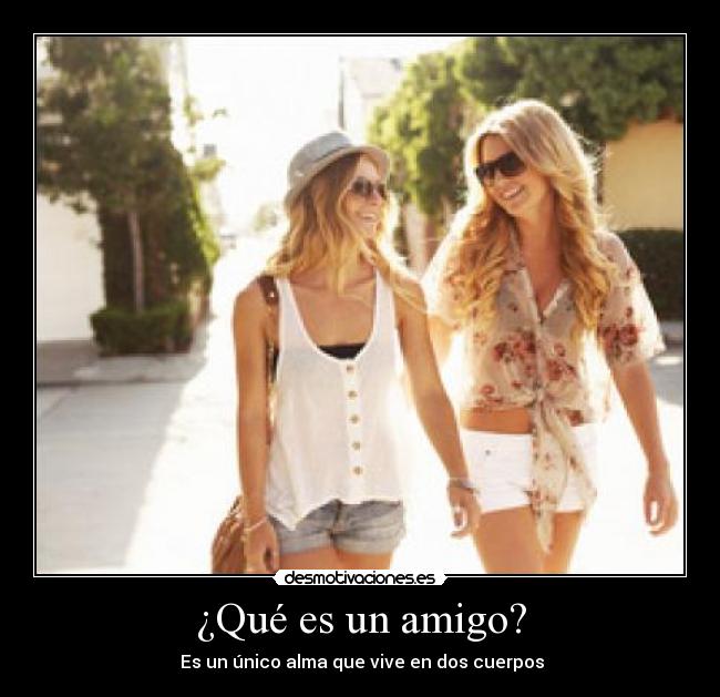 ¿Qué es un amigo? - Es un único alma que vive en dos cuerpos