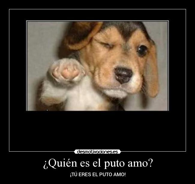 ¿Quién es el puto amo? - ¡TÚ ERES EL PUTO AMO!
