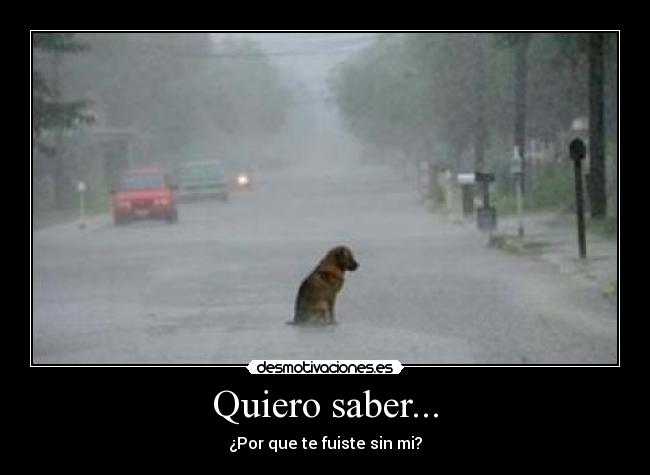 Quiero saber... - ¿Por que te fuiste sin mi?