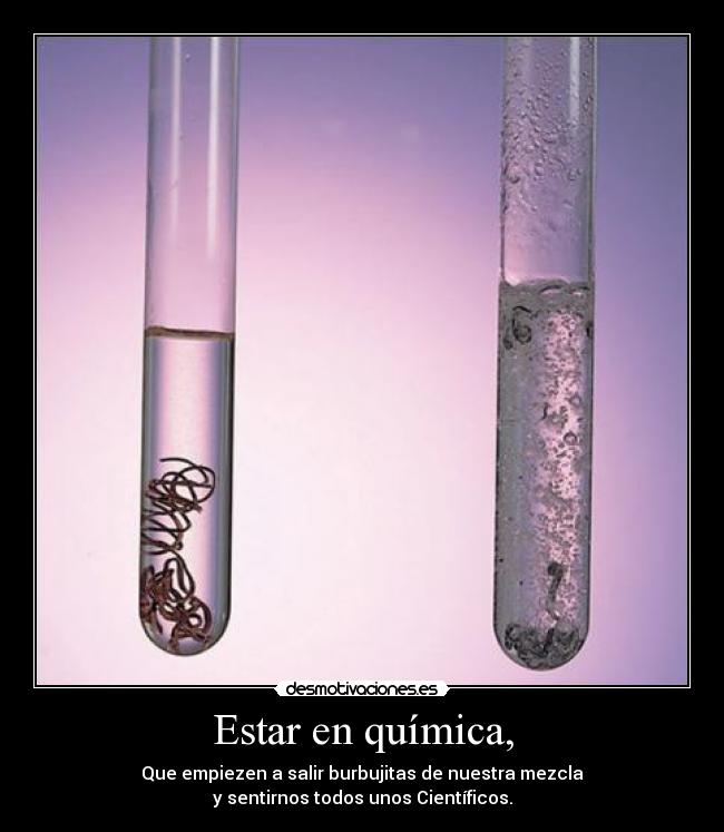 Estar en química, - Que empiezen a salir burbujitas de nuestra mezcla
y sentirnos todos unos Científicos.