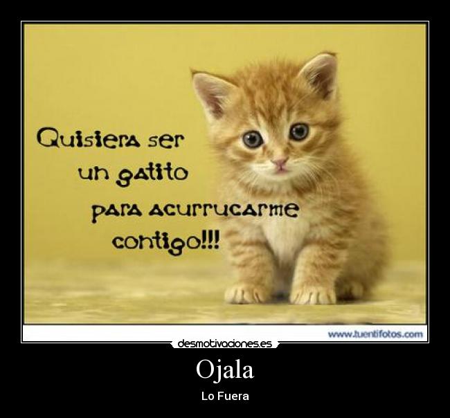 carteles danielitomotivado desmotivaciones