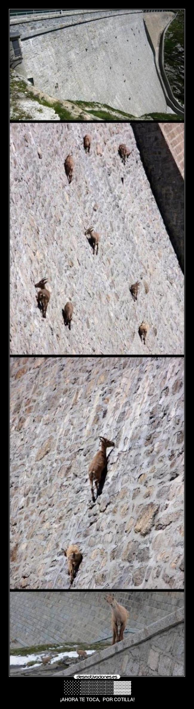 ░░▒▒▒▒▓▓ -