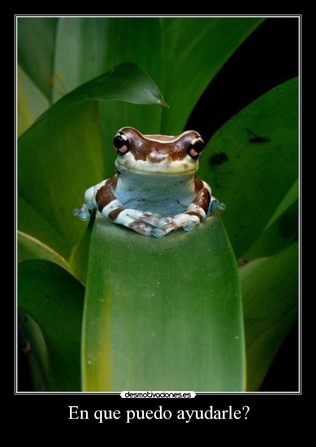 En que puedo ayudarle? - 