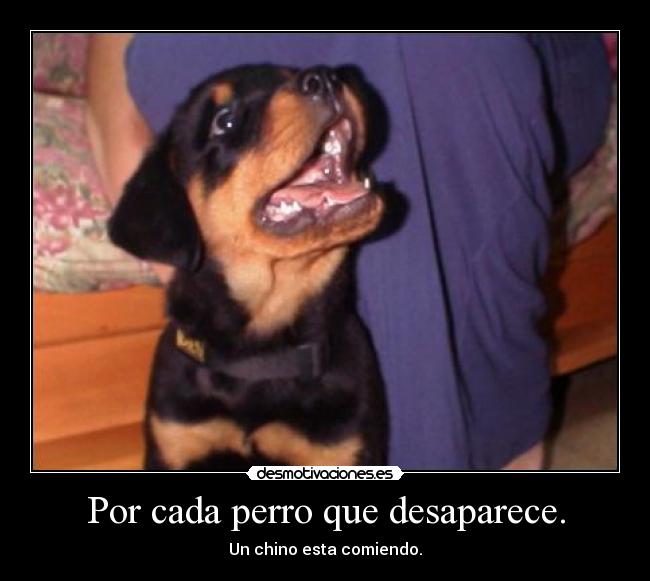 carteles enserio que nadie ofenda solo plan broma desmotivaciones