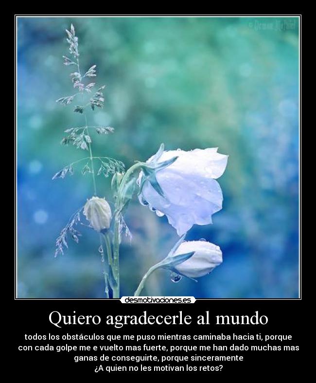 Quiero agradecerle al mundo - 