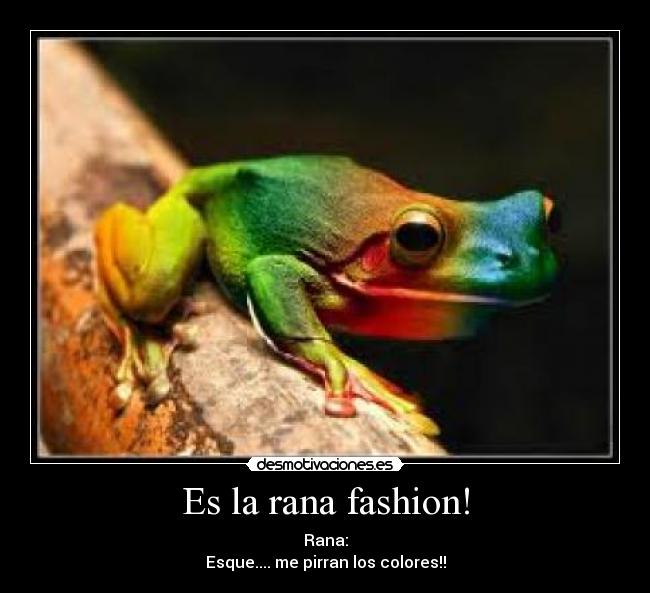 Es la rana fashion! - Rana:
Esque.... me pirran los colores!!