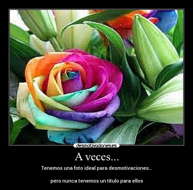 A veces... - Tenemos una foto ideal para desmotivaciones...
pero nunca tenemos un titulo para ellos