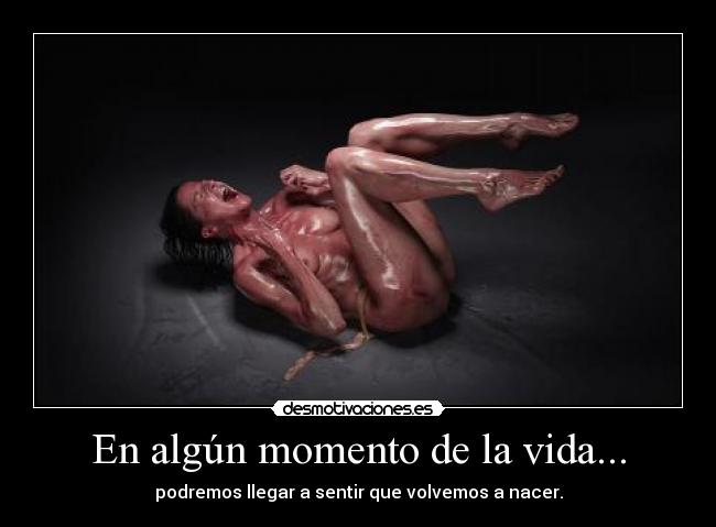 carteles vida algun momento vida podremos llegar sentir volvemos nacer renacer desmotivaciones