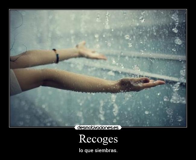 Recoges - lo que siembras.