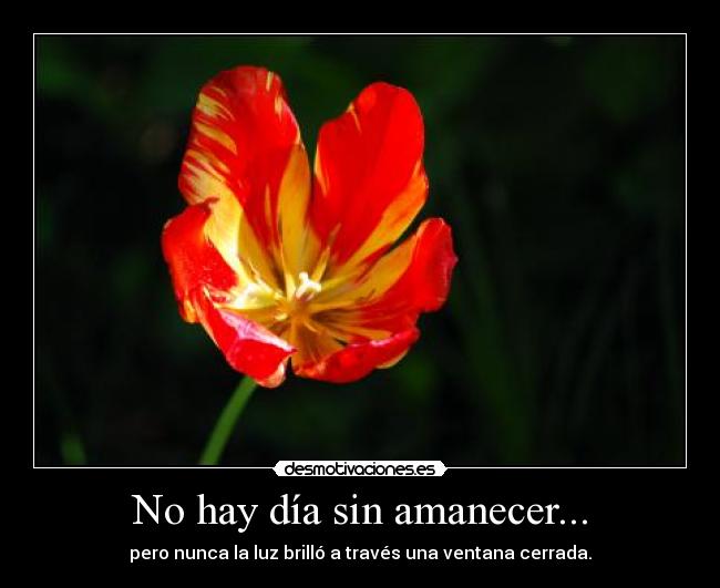 No hay día sin amanecer... - pero nunca la luz brilló a través una ventana cerrada.
